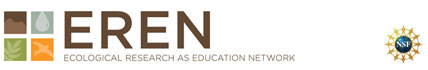 EREN Logo